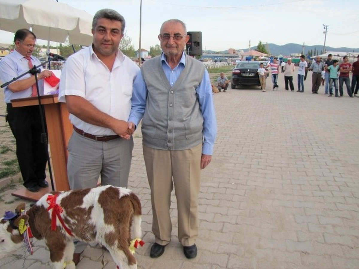Hisarcık\'ta \'Buzağı Teşvik\' Yarışması