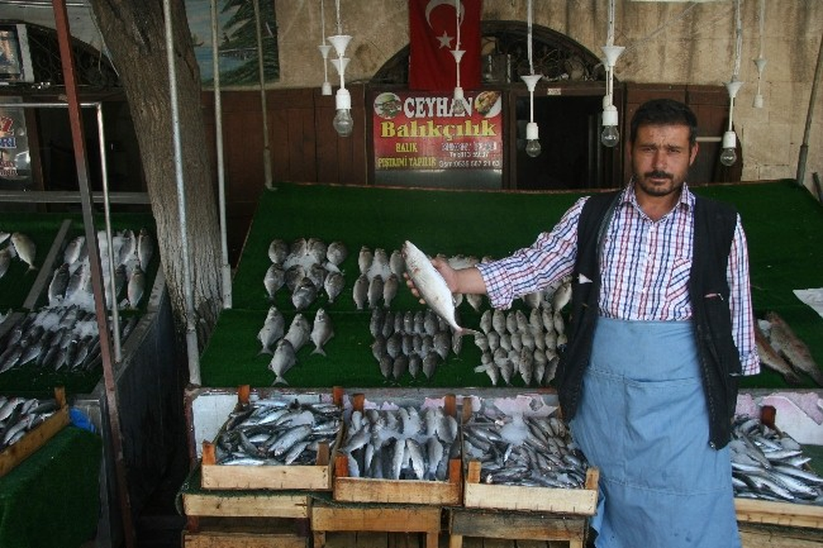 Kilis\'te Av Sezonunun Açılmasıyla Balığa Rağbet Arttı