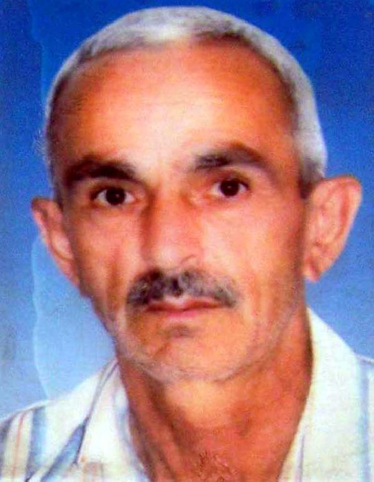 Milletvekilinin Cevizlerini Toplarken Ağaçtan Düşerek Öldü