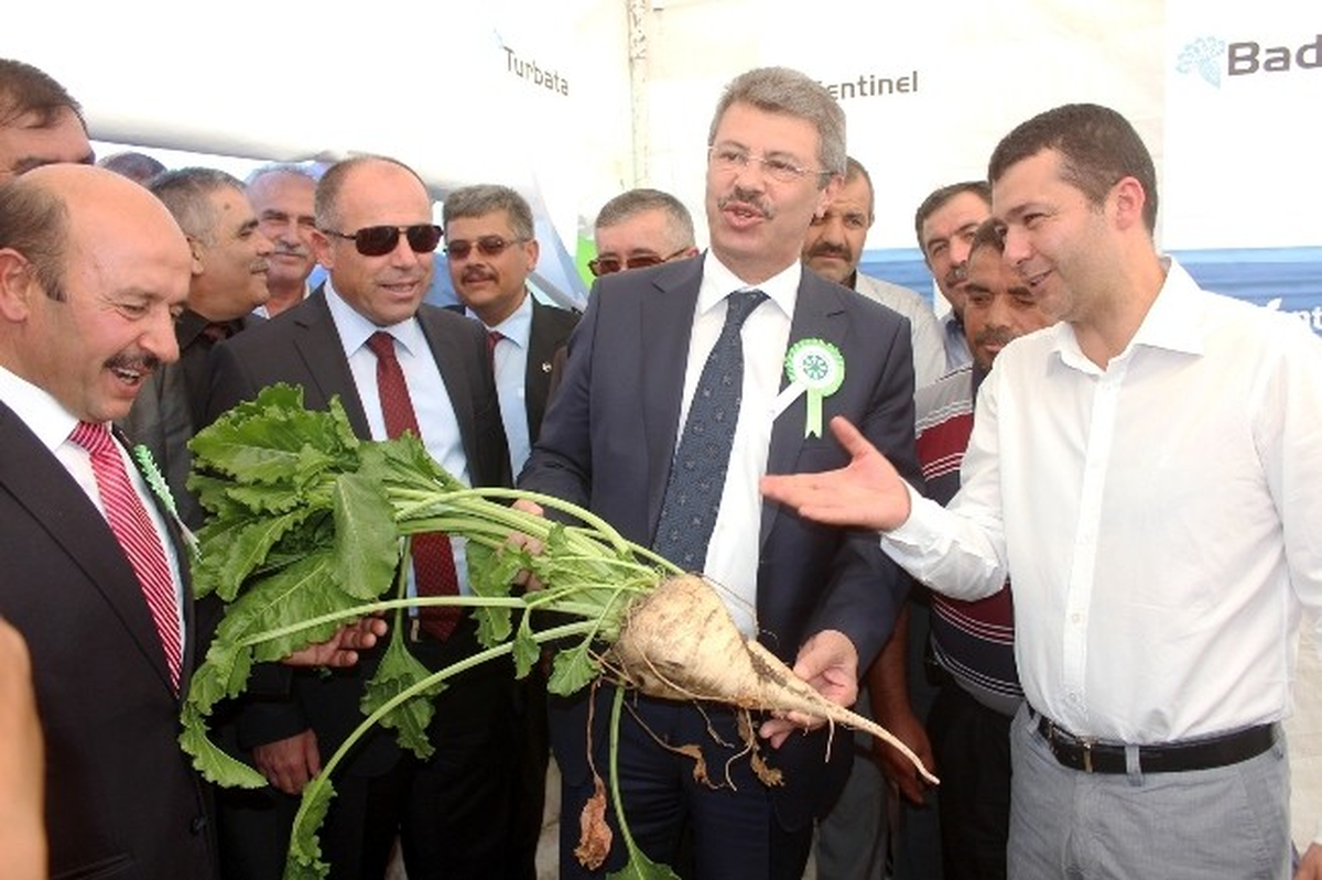 Pancar Festivali\'nin 2. Si Şarkışla\'da Yapıldı