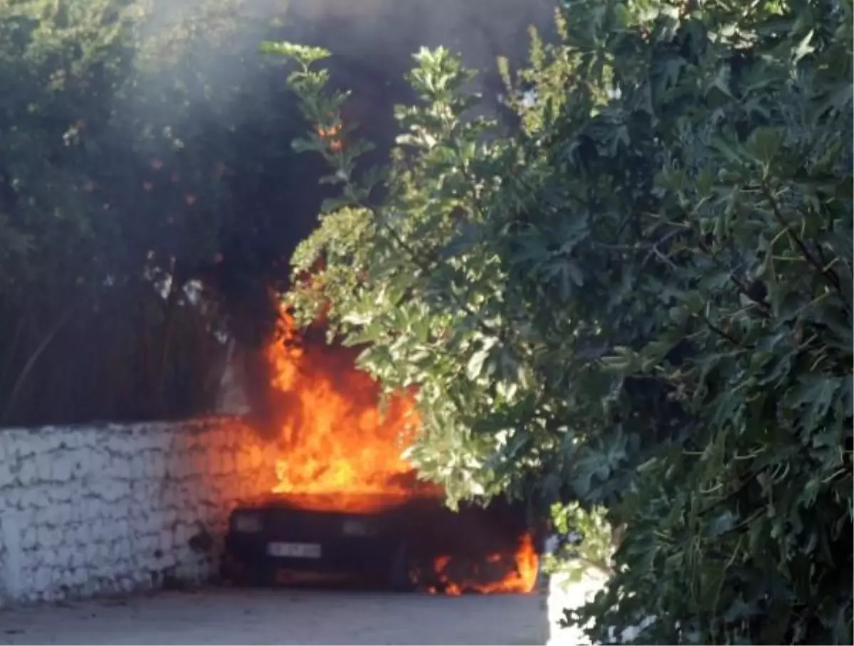 Park Halindeki Otomobil Yandı