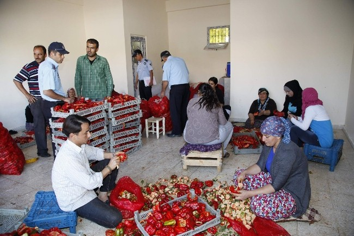 Şahinbey Zabıtası Salçalık Satış ve İmalat Yerlerini Denetledi
