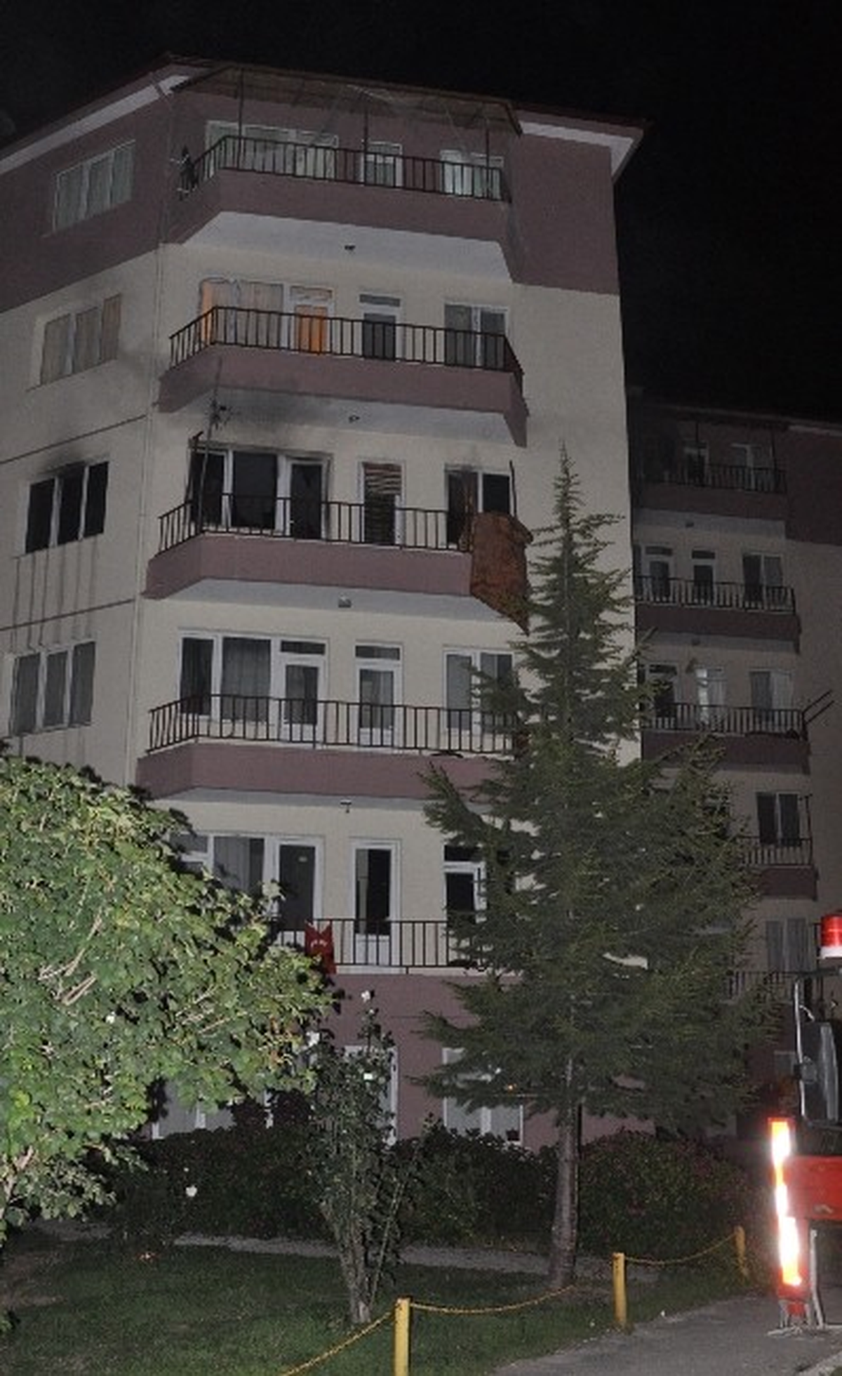 Yangından Kaçarken Akvaryumunu Almayı Unutmadı