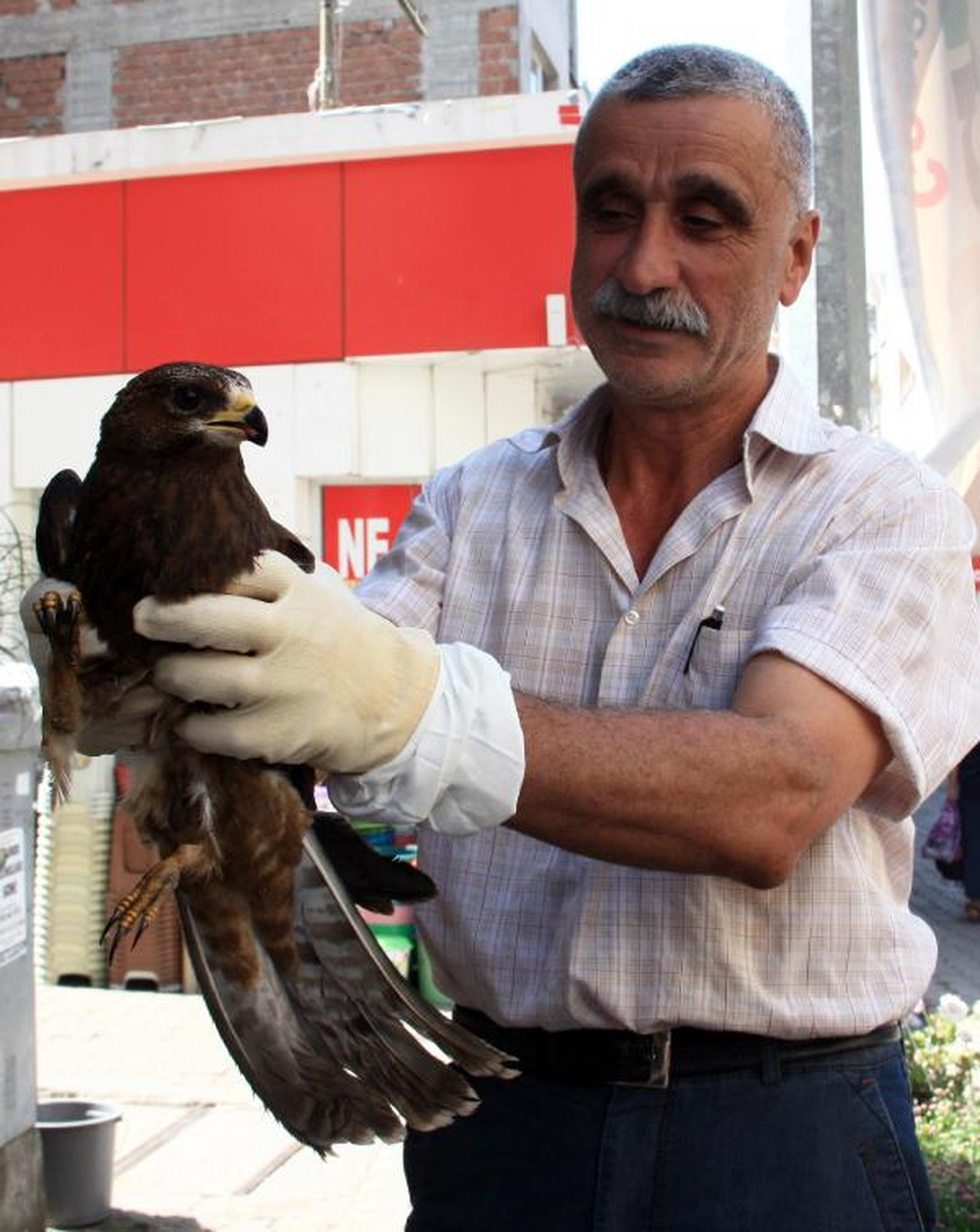 Yaralanan Doğana Emekli Öğretmen Sahip Çıktı