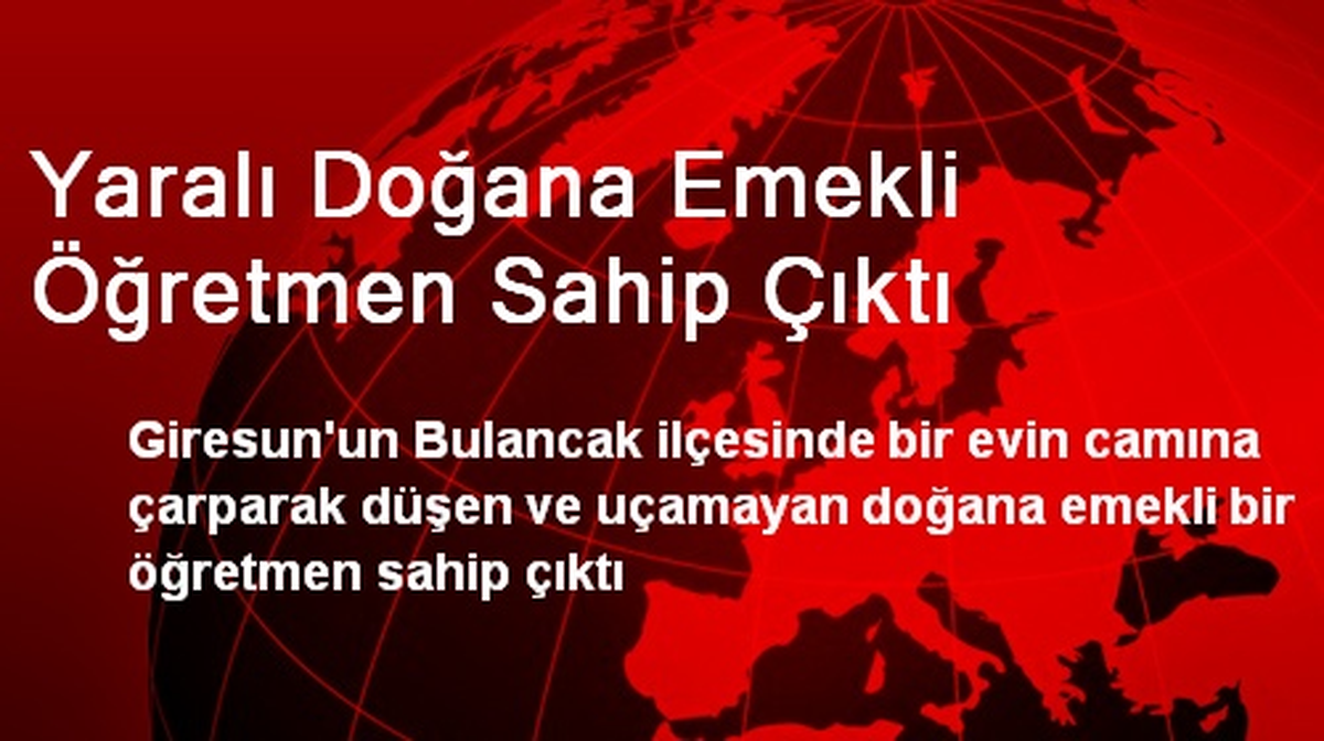 Yaralı Doğana Emekli Öğretmen Sahip Çıktı