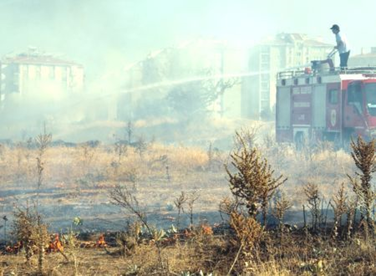 Ardahan\'da Ot Yangını