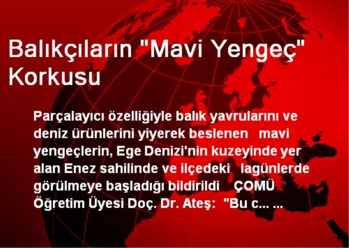 Balıkçıların "Mavi Yengeç" Korkusu