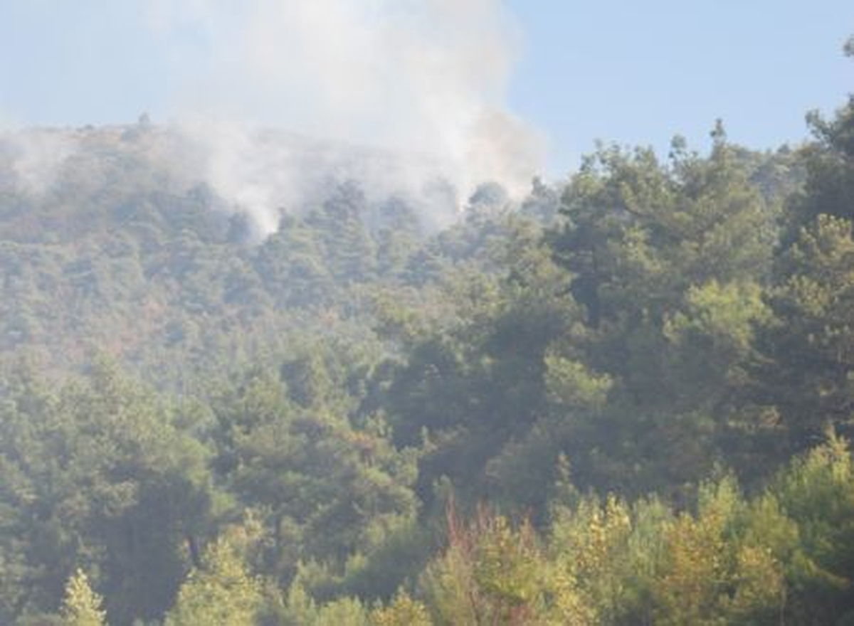 Bursa\'da Orman Yangını