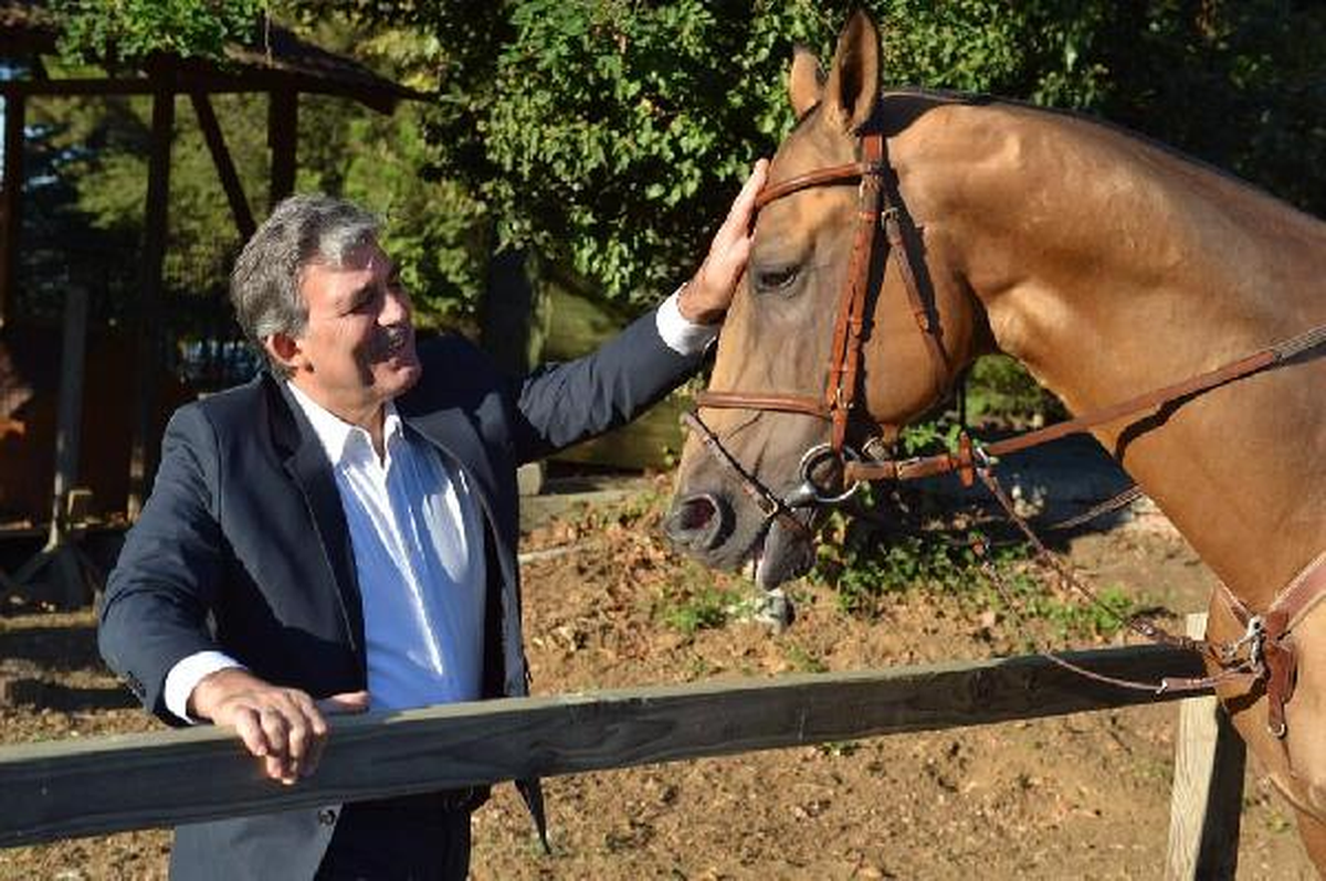 Cumhurbaşkanı Gül, Kendisine Hediye Edilen Atı Ziyaret Etti