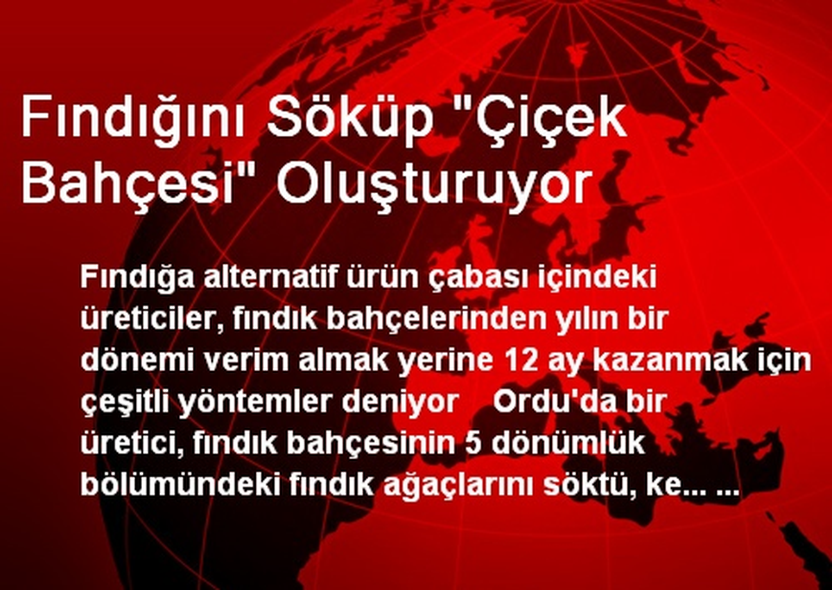 Fındığını Söküp "Çiçek Bahçesi" Oluşturuyor