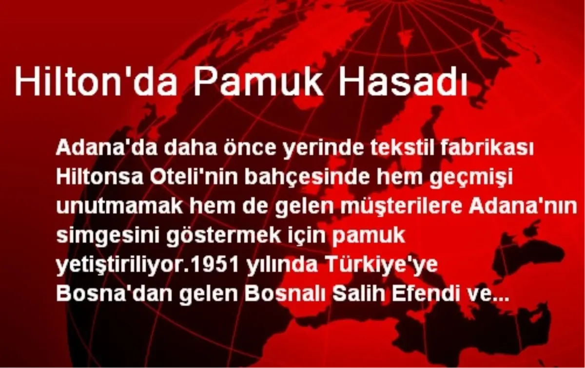 Adana\'da Hilton Otel\'in Bahçesinde Pamuk Yetiştiriliyor