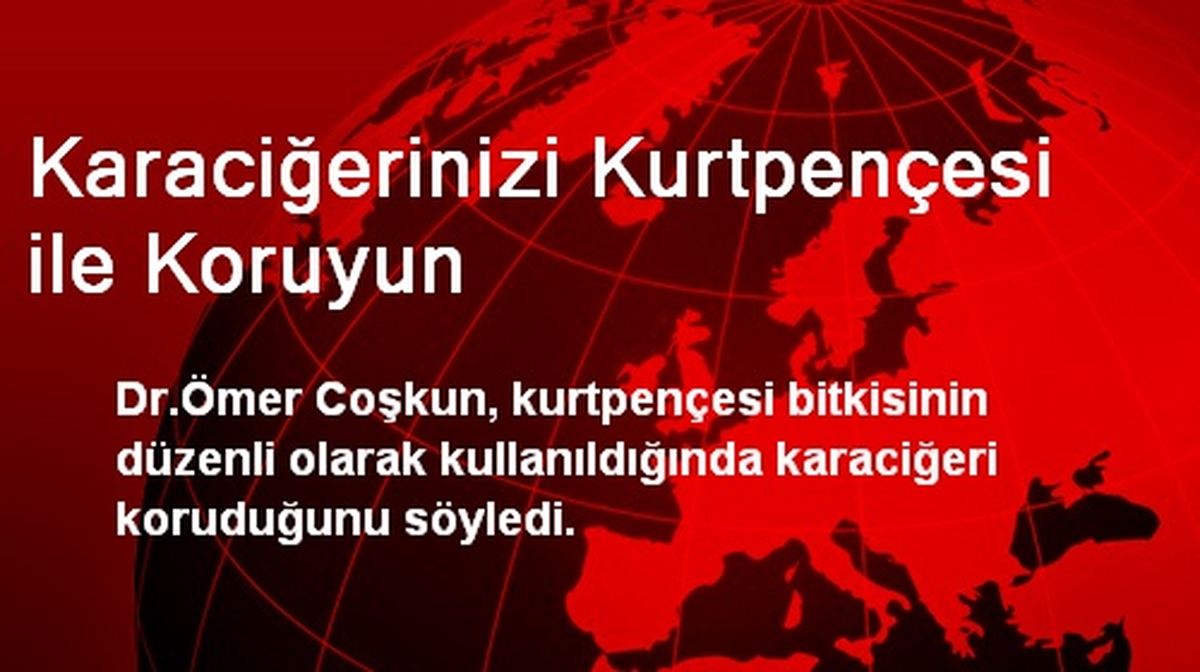 Karaciğerinizi Kurtpençesi ile Koruyun
