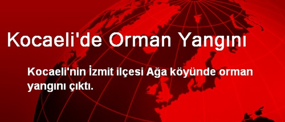 Kocaeli\'de Orman Yangını