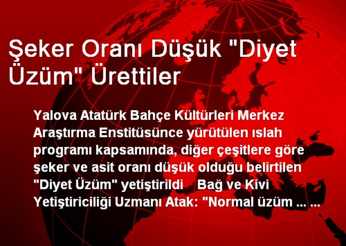 Şeker Oranı Düşük "Diyet Üzüm" Ürettiler