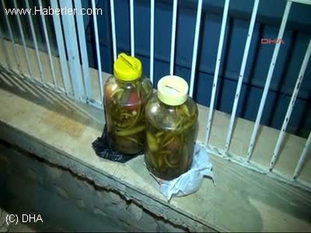 Turşu Çalan, \'Bodrum Faresi\' Yakalandı