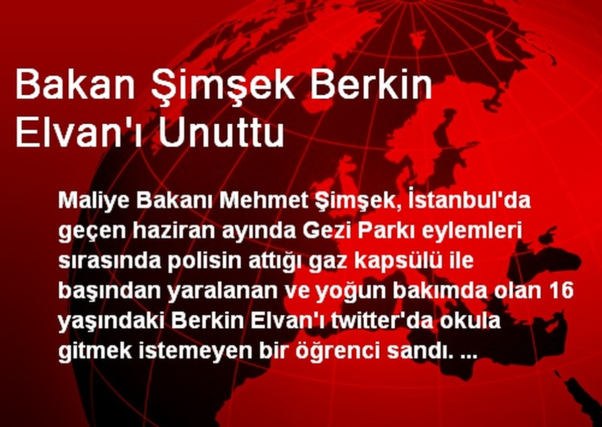 Bakan Şimşek Berkin Elvan\'ı Unuttu