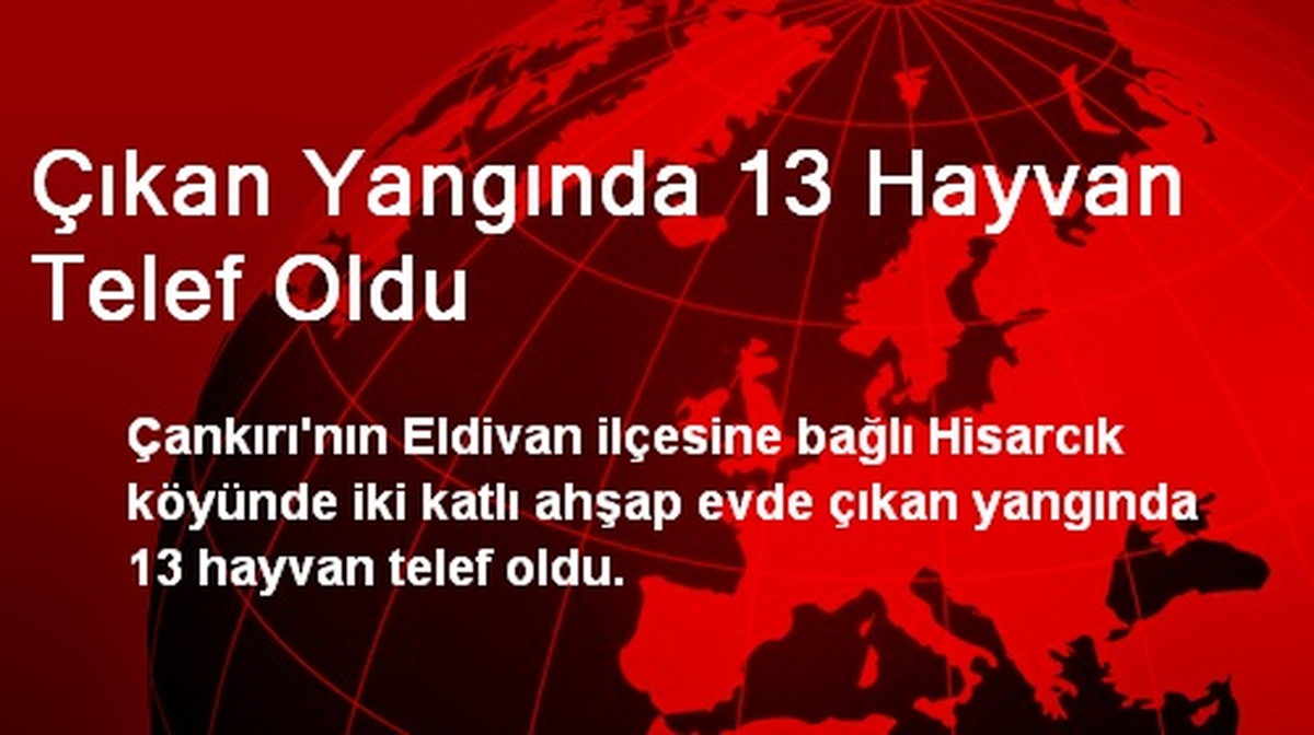 Çıkan Yangında 13 Hayvan Telef Oldu