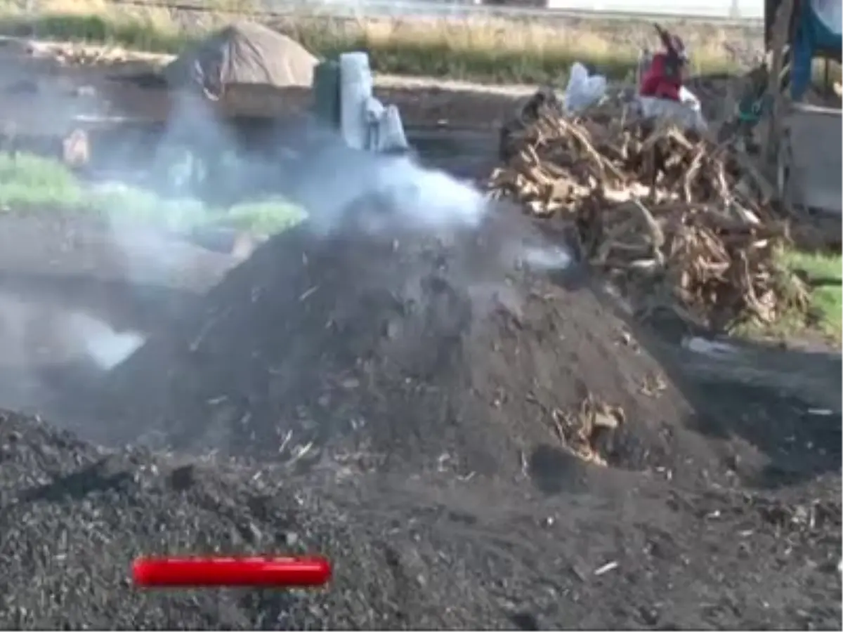 Ekmek Mücadelesi Okula Başlamasına Engel Oldu