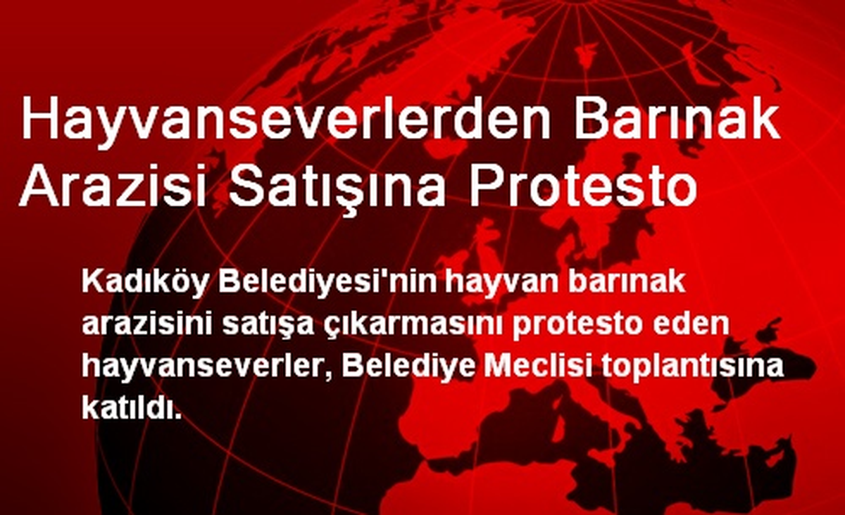 Hayvanseverlerden Barınak Arazisi Satışına Protesto