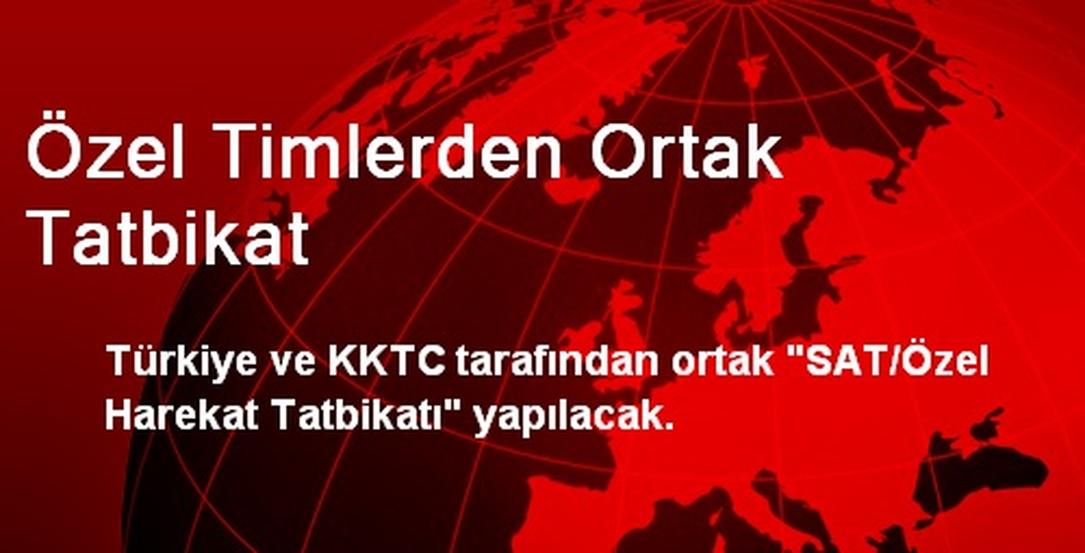 Özel Timlerden Ortak Tatbikat