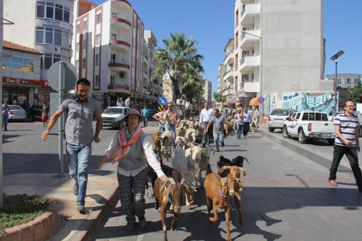 Panayır Koyunlu Keçili Kortejle Başladı