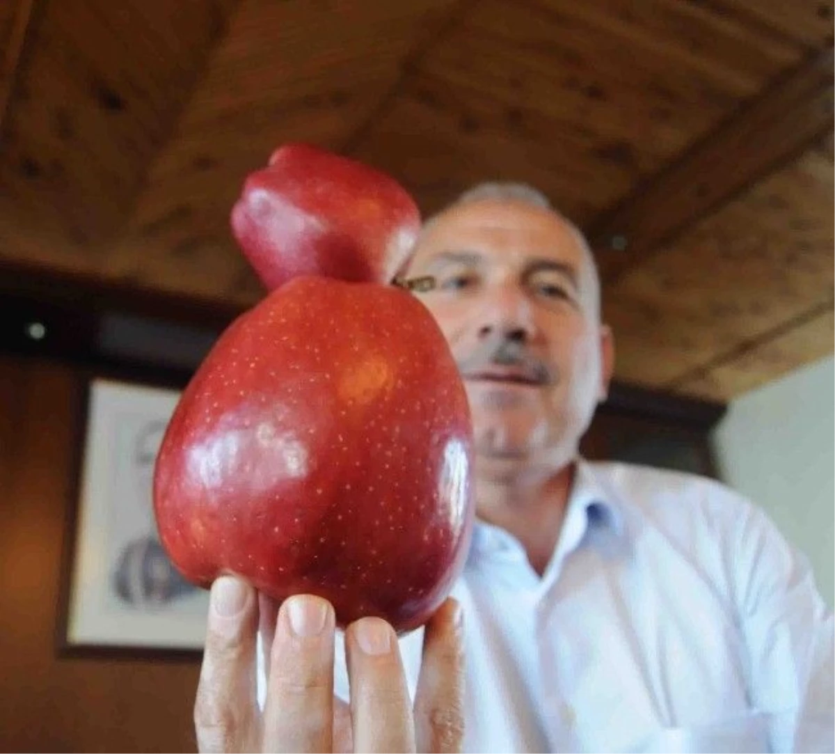 800 gramlık elma ISPARTA
