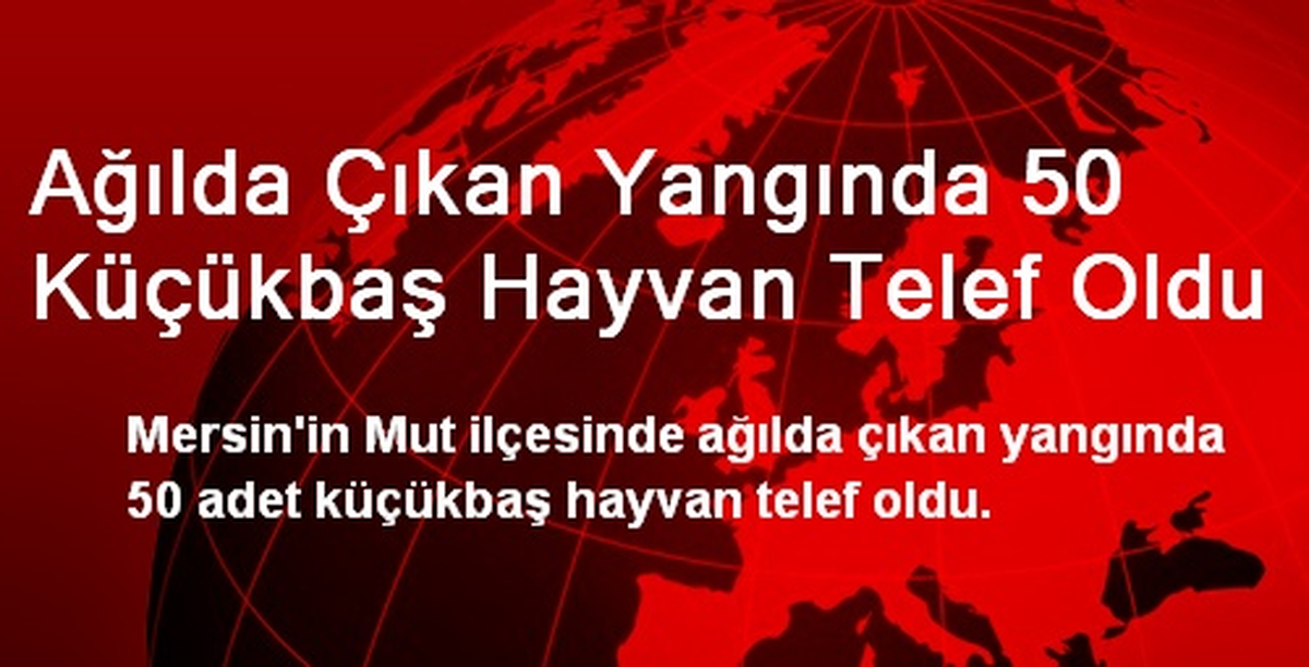 Ağılda Çıkan Yangında 50 Küçükbaş Hayvan Telef Oldu