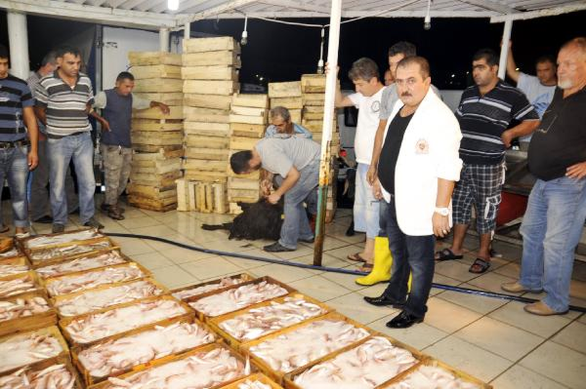 Antalya\'da Balık Sezonu Açıldı