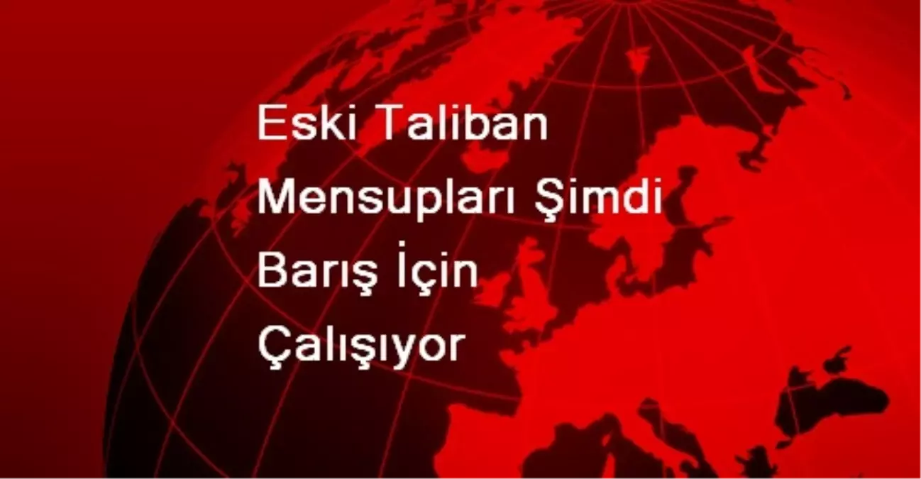 Eski Taliban Mensupları Şimdi Barış İçin Çalışıyor