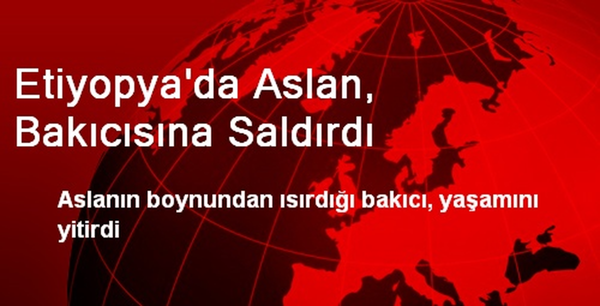 Etiyopya\'da Aslan, Bakıcısına Saldırdı