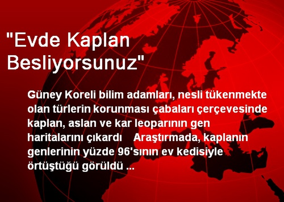 "Evde Kaplan Besliyorsunuz"