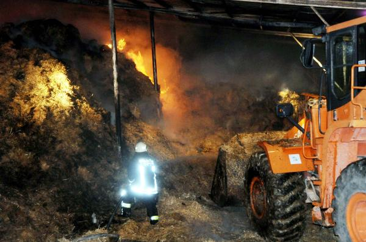 Gaziantep\'te Besi Çiftliğinde Yangın