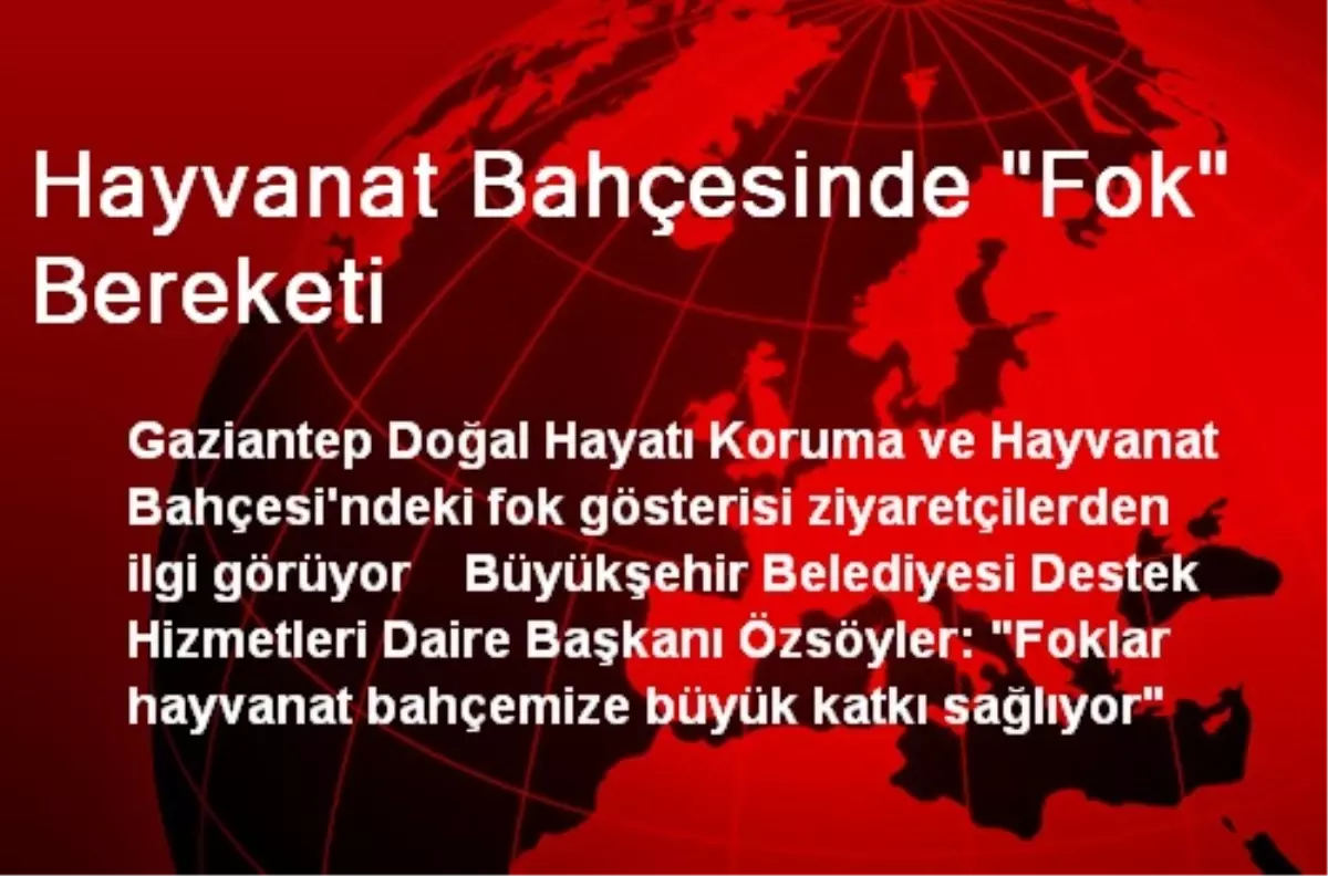 Hayvanat Bahçesinde "Fok" Bereketi