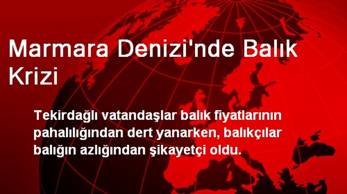 Marmara Denizi\'nde Balık Krizi
