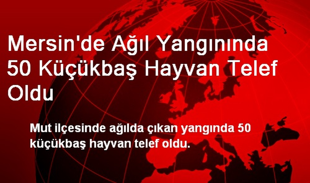 Mersin\'de Ağıl Yangınında 50 Küçükbaş Hayvan Telef Oldu