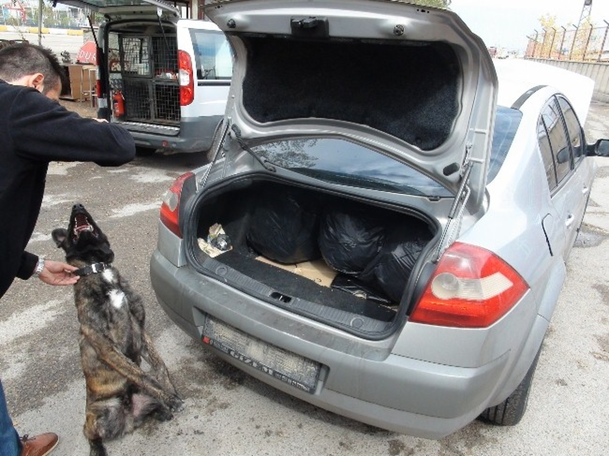 Otomobilin Bagajından Esrar Çıktı