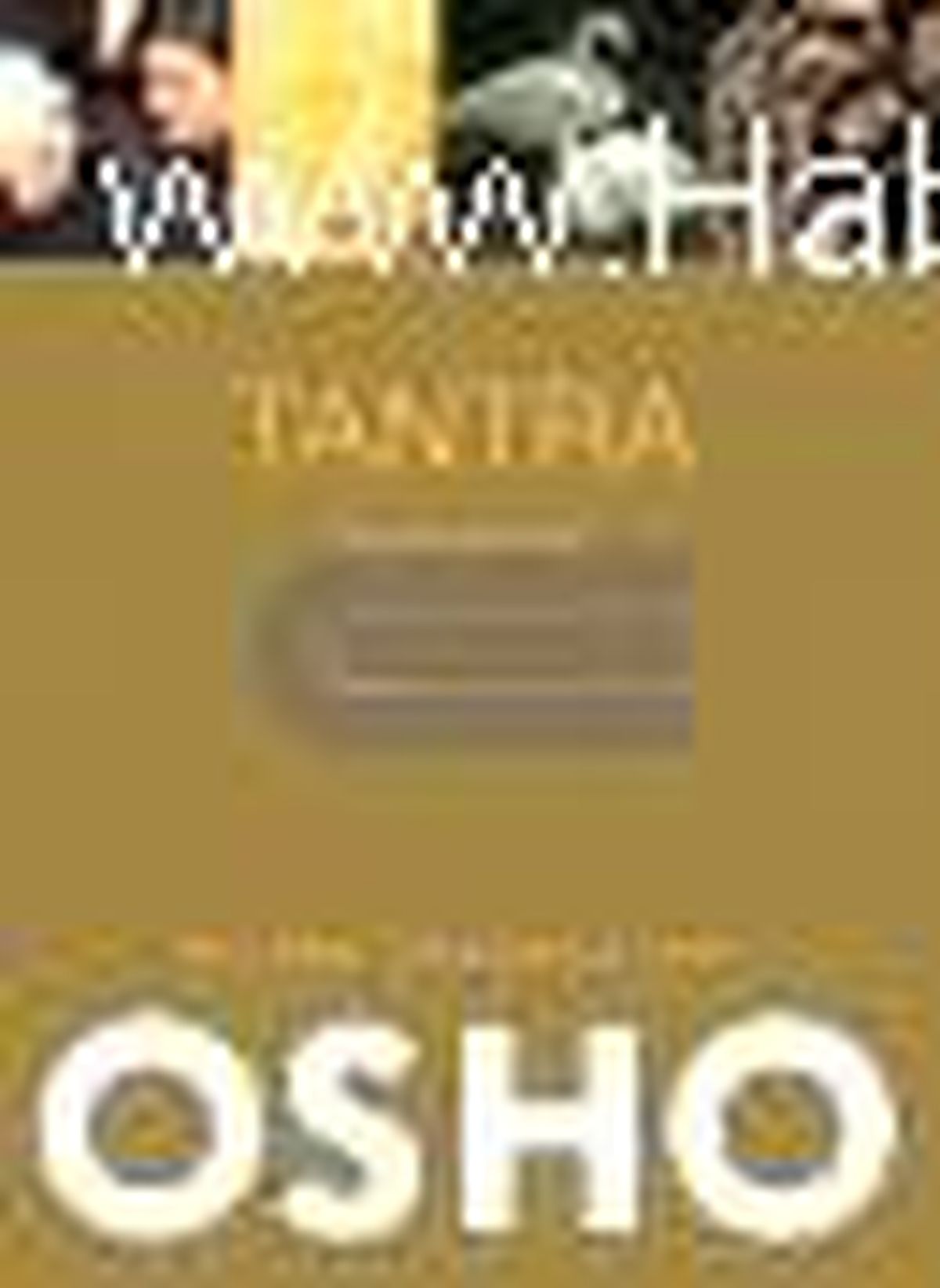Tantra - Kabullenme Yolu Kitabı