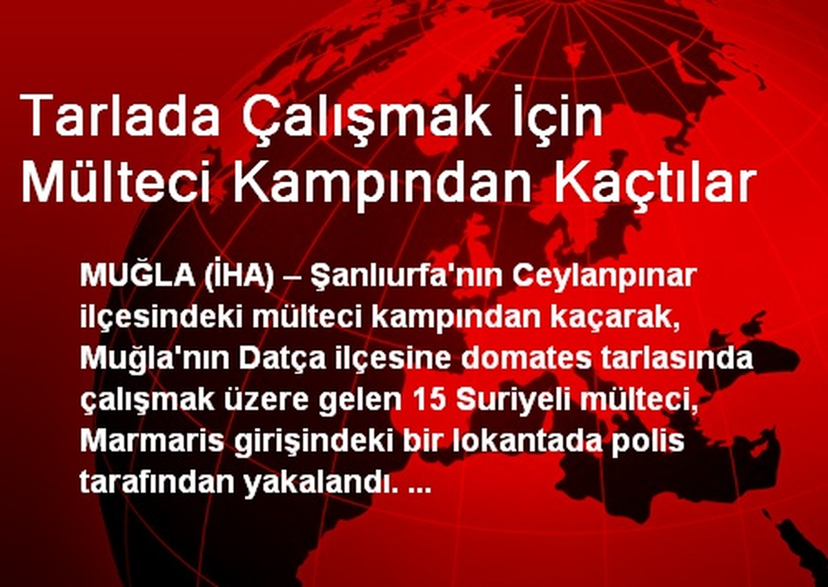 Tarlada Çalışmak İçin Mülteci Kampından Kaçtılar