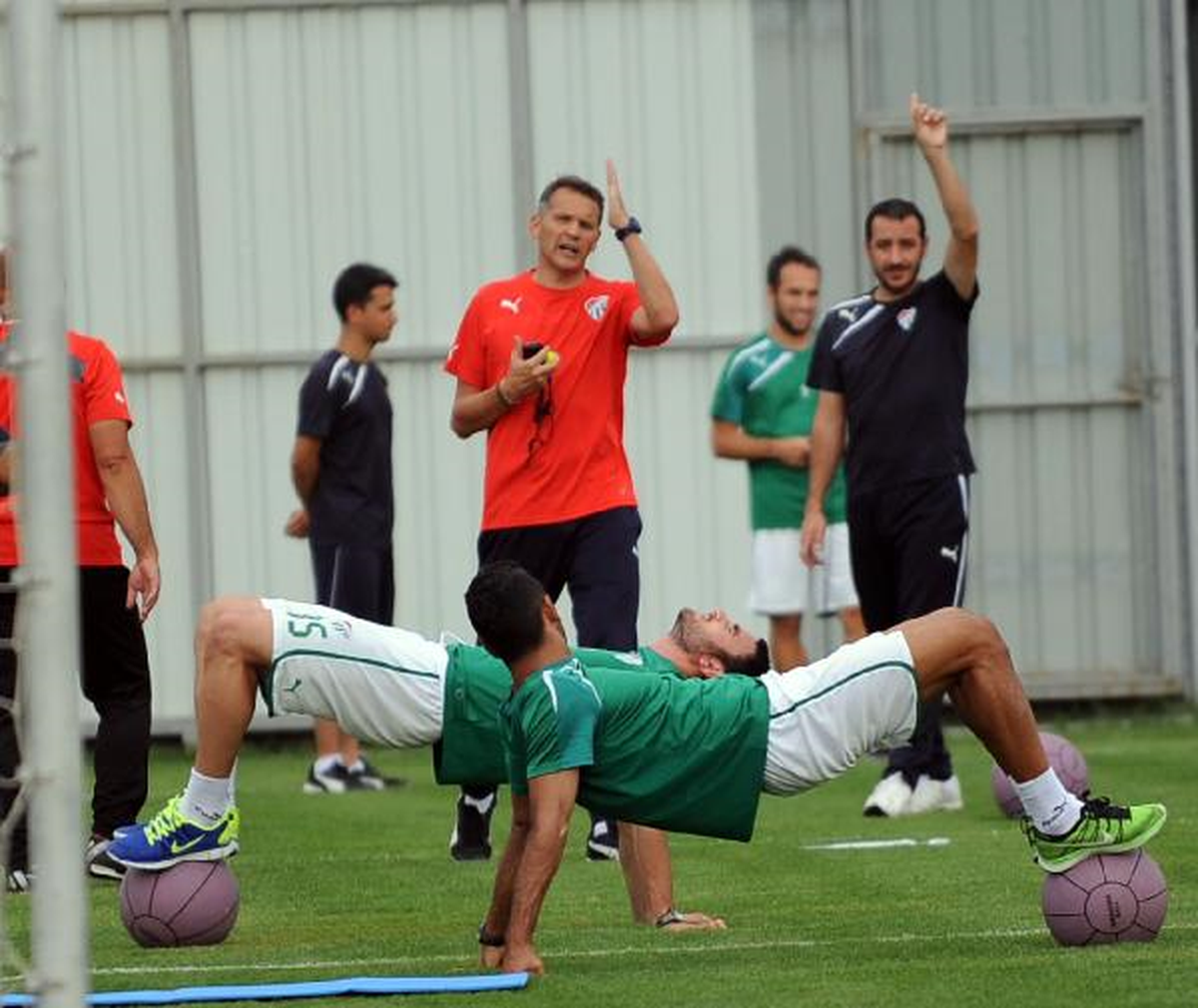 Timsah Güç Depoluyor