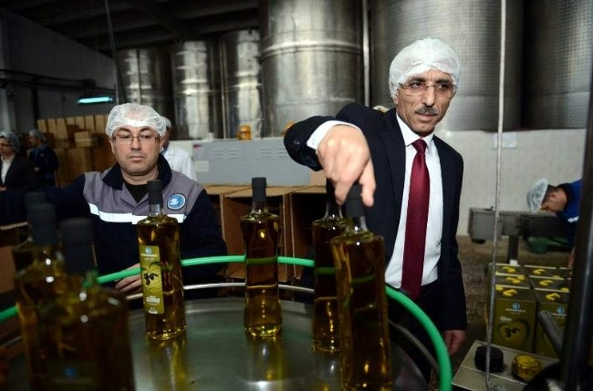 Zeytin Rekolte Beyanları 23 Eylül\'de Alınmaya Başlanacak