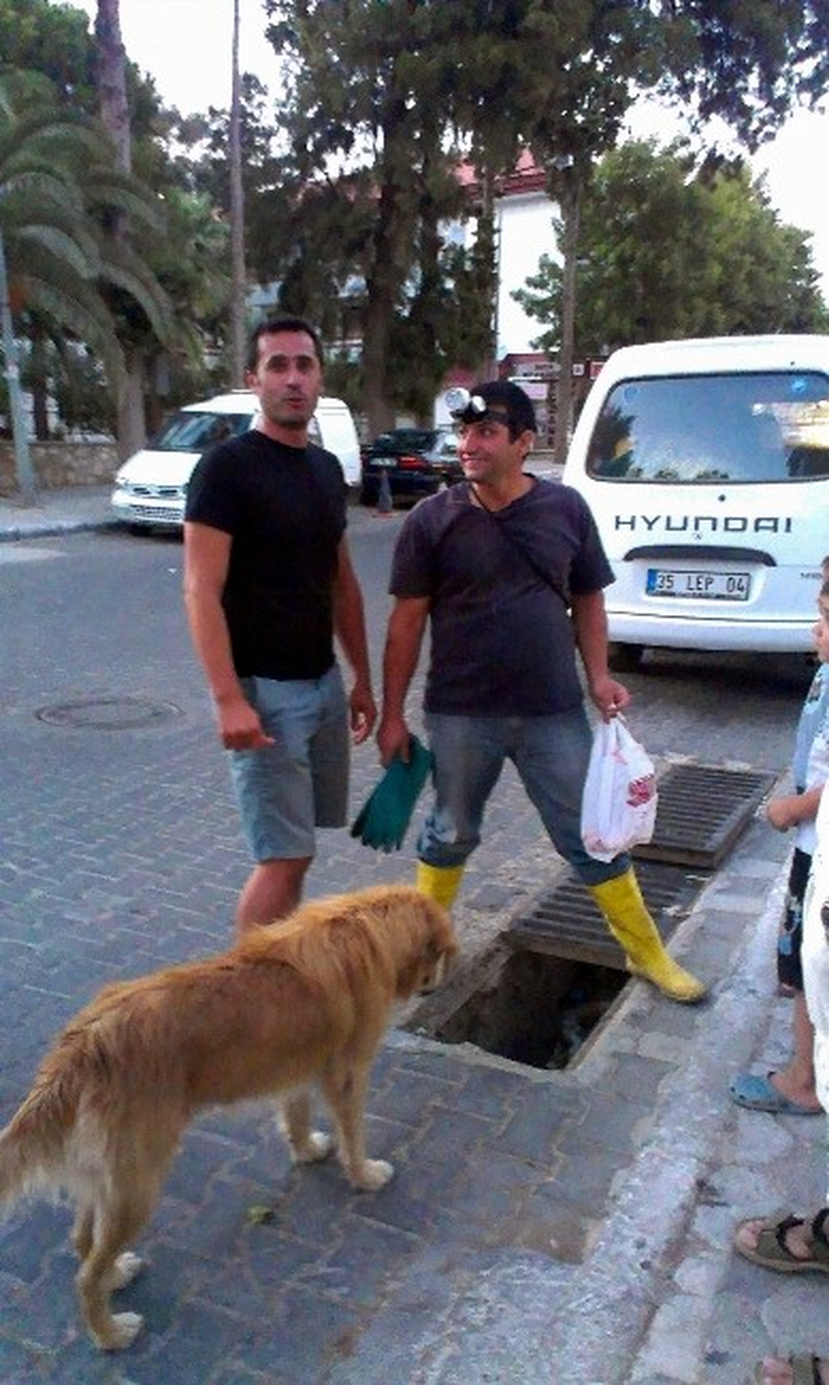 Anne Köpek Dakikalarca Yavrusunun Kurtarılmasını Bekledi