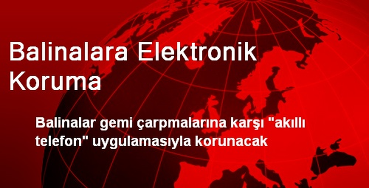 Balinalara Elektronik Koruma