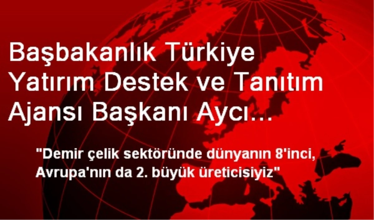 Başbakanlık Türkiye Yatırım Destek ve Tanıtım Ajansı Başkanı Aycı Açıklaması