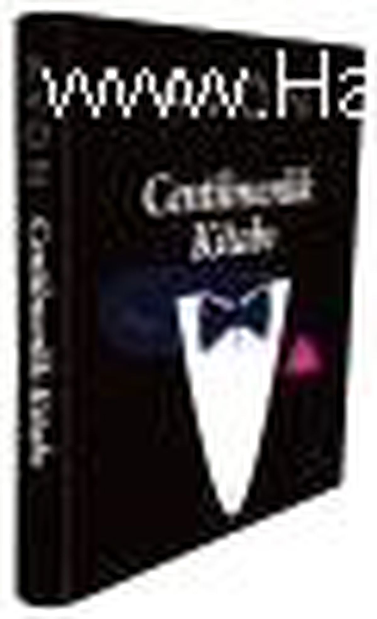 Centilmenlik Kitabı Kitabı