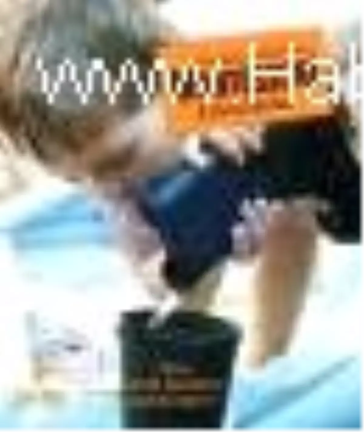 Çocuğunuz ve Sizin İçin Montessori Etkinlikleri Kitabı