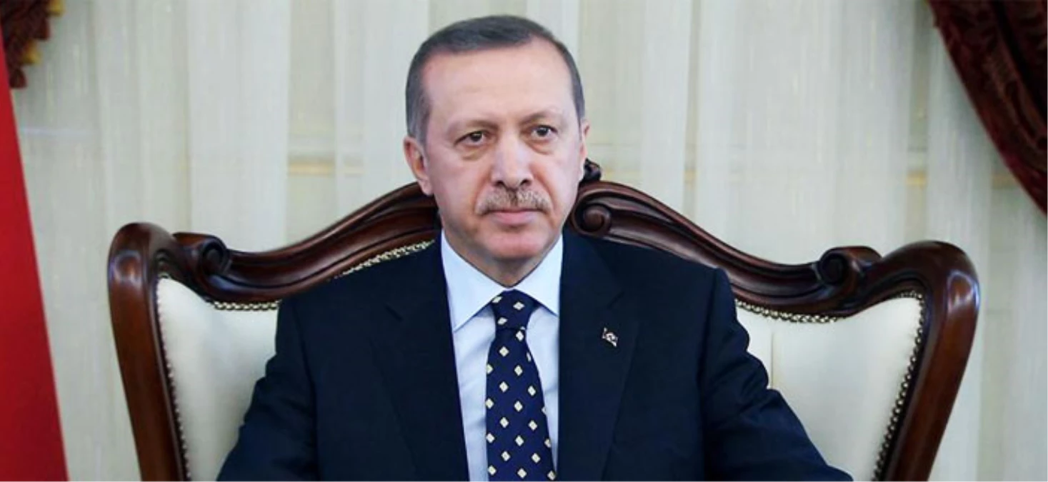Erdoğan Tuomioja görüşmesi ANKARA
