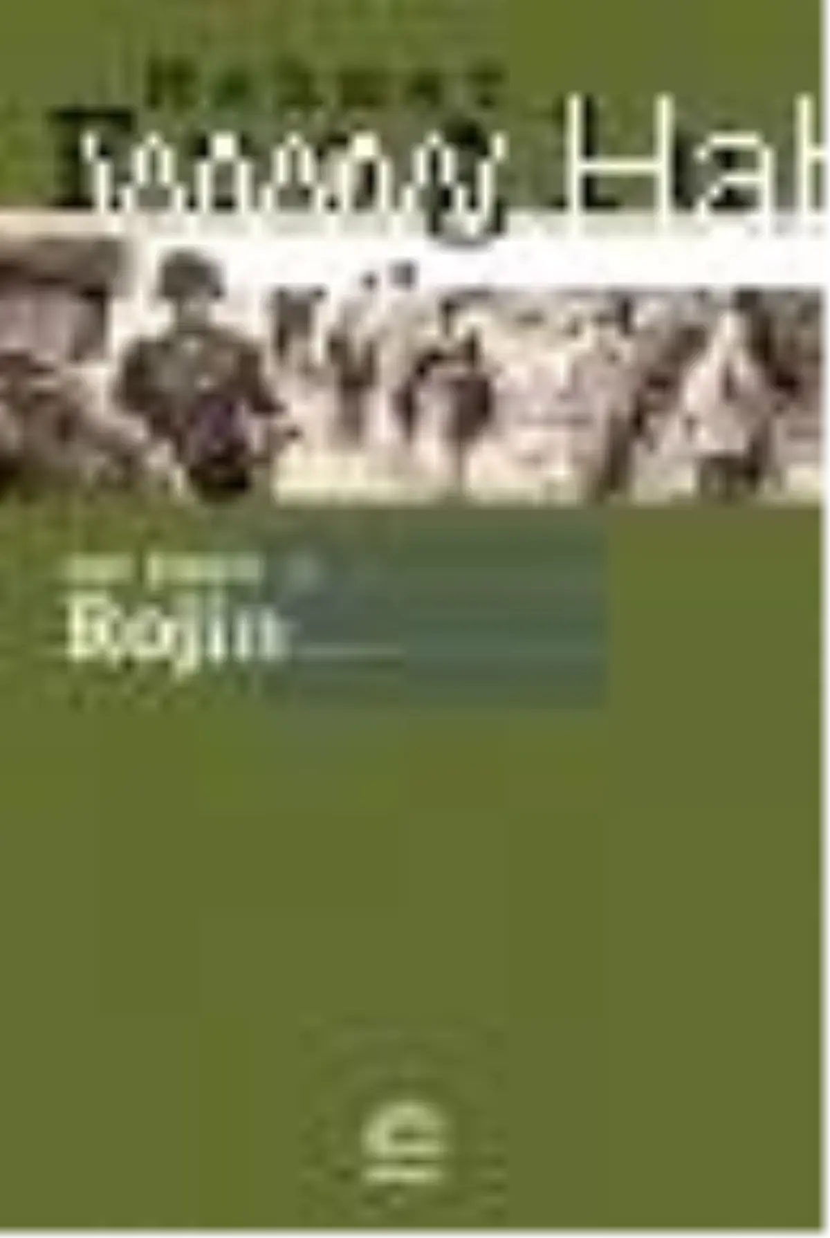 Fay Kırığı - 3: Rojin Kitabı