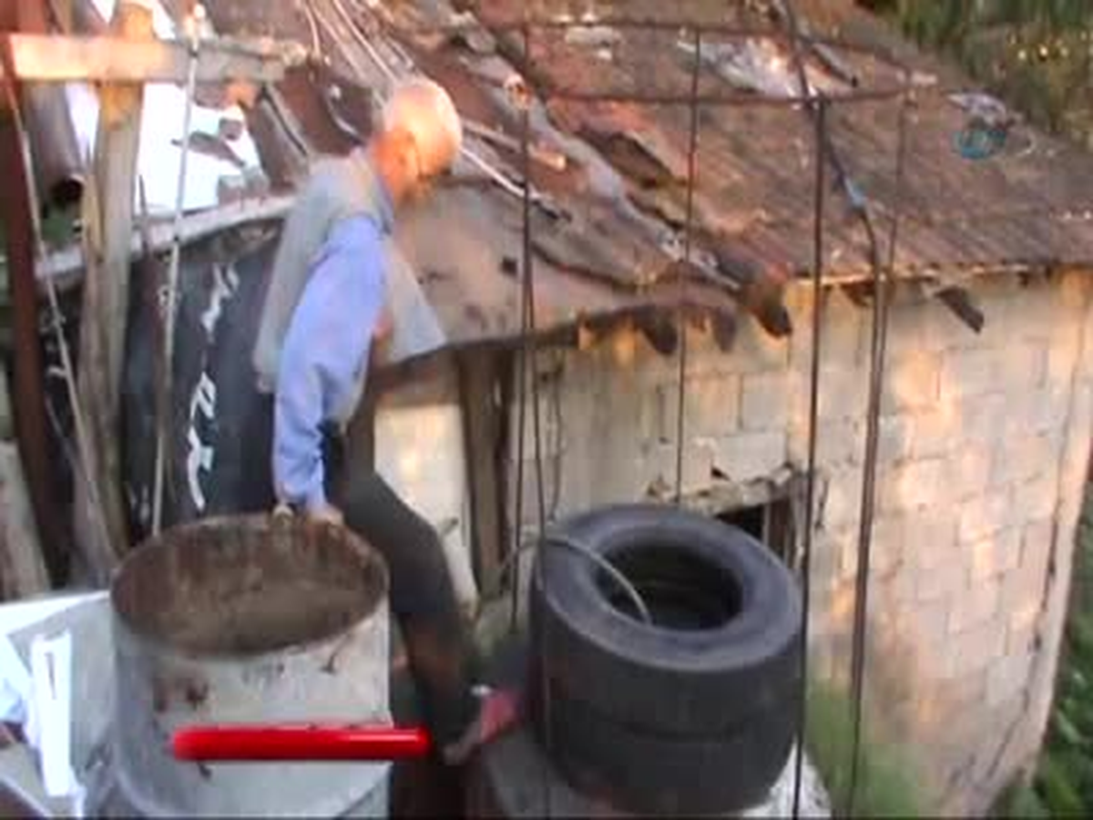 Hayvan Gübresinden Gaz Üretiyor