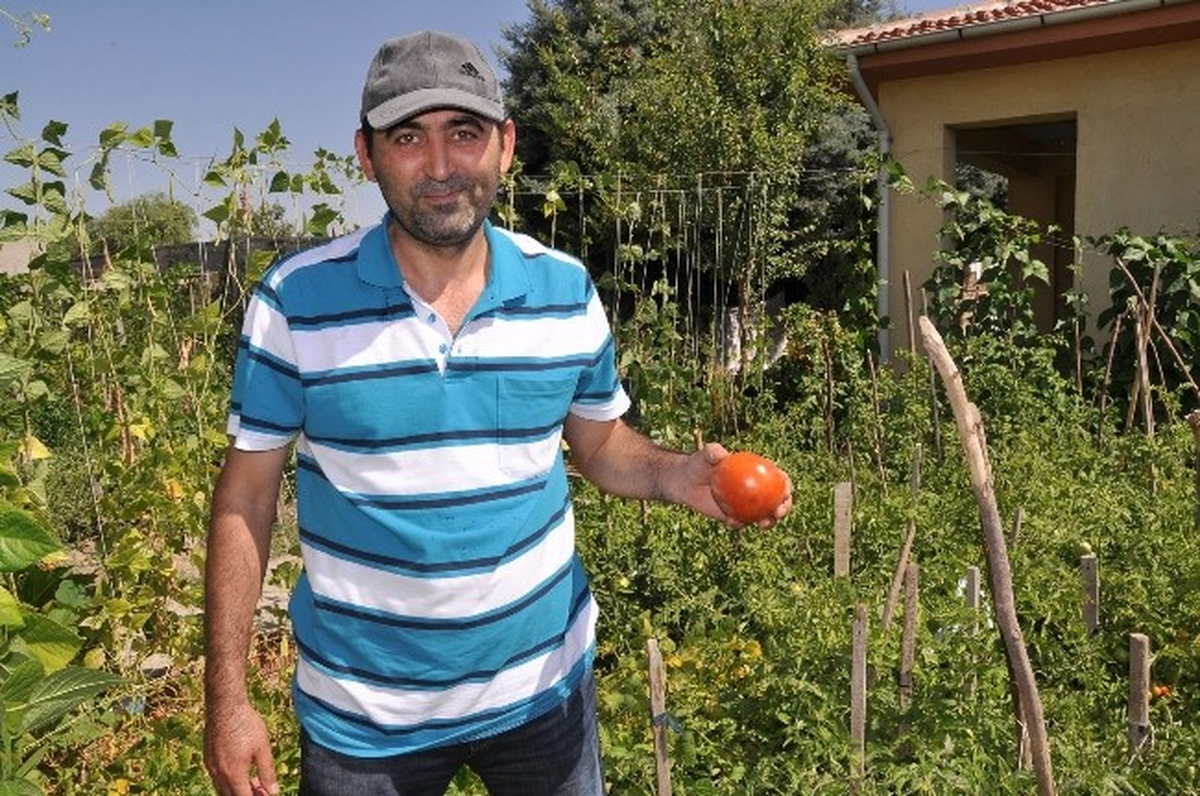 Hobi Bahçeleri Doğal Tarımın Adresi Oldu