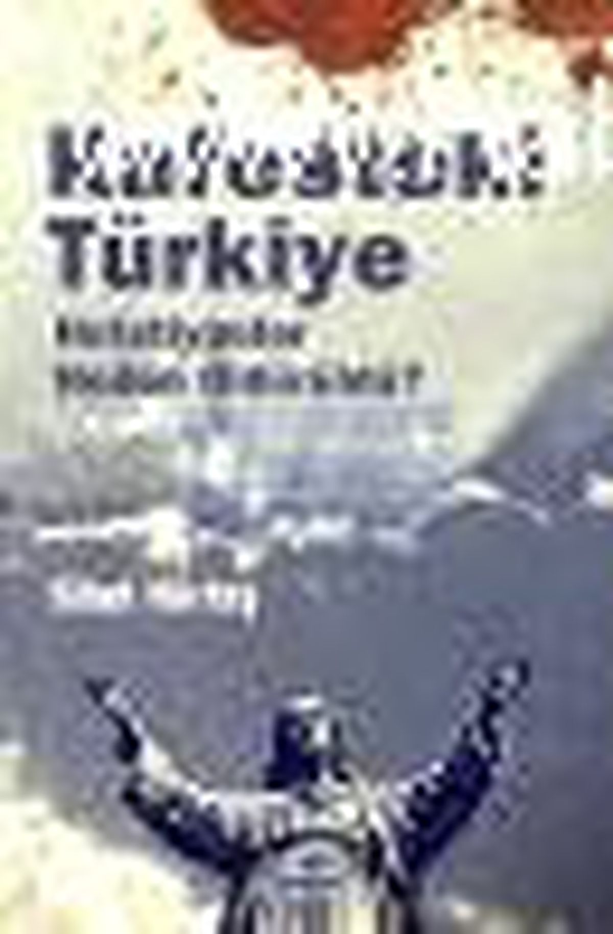 Kafesteki Türkiye Kitabı
